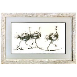 L2181 Driftwood Well Hung Frames and Prints